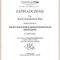 Powiększ obraz: certificate 3