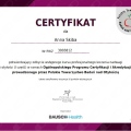 Powiększ obraz: certificate 1