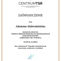 Powiększ obraz: certificate 1