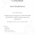 Powiększ obraz: certificate 2