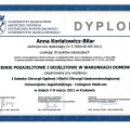 Powiększ obraz: certificate 4