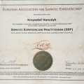 Powiększ obraz: certificate 5
