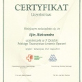 Powiększ obraz: certificate 12