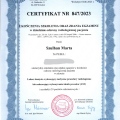 Powiększ obraz: certificate 14