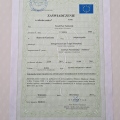 Powiększ obraz: certificate 5