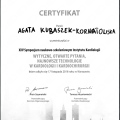 Powiększ obraz: certificate 5