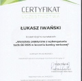 Powiększ obraz: certificate 2