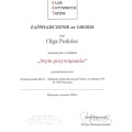 Powiększ obraz: certificate 36