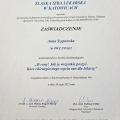 Powiększ obraz: certificate 8