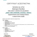 Powiększ obraz: certificate 4