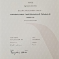 Powiększ obraz: certificate 20