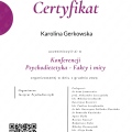 Powiększ obraz: certificate 8