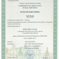 Powiększ obraz: certificate 3