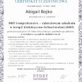 Powiększ obraz: certificate 1