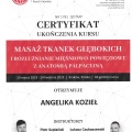 Powiększ obraz: certificate 2