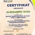 Powiększ obraz: certificate 12