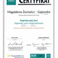 Powiększ obraz: certificate 13