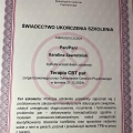 Powiększ obraz: certificate 13