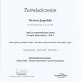 Powiększ obraz: certificate 5