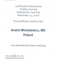 Powiększ obraz: certificate 7