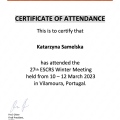 Powiększ obraz: certificate 3