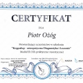 Powiększ obraz: certificate 3