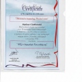 Powiększ obraz: certificate 2