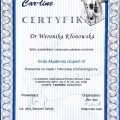 Powiększ obraz: certificate 1
