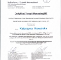 Powiększ obraz: certificate 2
