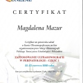 Powiększ obraz: certificate 8