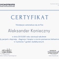 Powiększ obraz: certificate 29