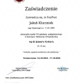 Powiększ obraz: certificate 2
