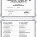 Powiększ obraz: certificate 8