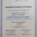 Powiększ obraz: certificate 13