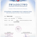 Powiększ obraz: certificate 2