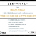 Powiększ obraz: certificate 9