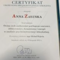 Powiększ obraz: certificate 1