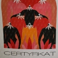 Powiększ obraz: certificate 4