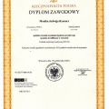 Powiększ obraz: certificate 1