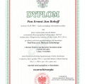 Powiększ obraz: certificate 3