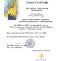 Powiększ obraz: certificate 8