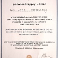 Powiększ obraz: certificate 11