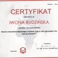 Powiększ obraz: certificate 7