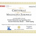 Powiększ obraz: certificate 18