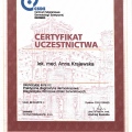 Powiększ obraz: certificate 6