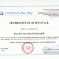 Powiększ obraz: certificate 26