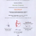 Powiększ obraz: certificate 6