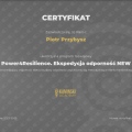 Powiększ obraz: certificate 5