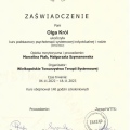 Powiększ obraz: certificate 3