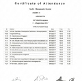 Powiększ obraz: certificate 77